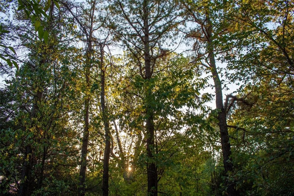 Photo of 0000 State Highway 76