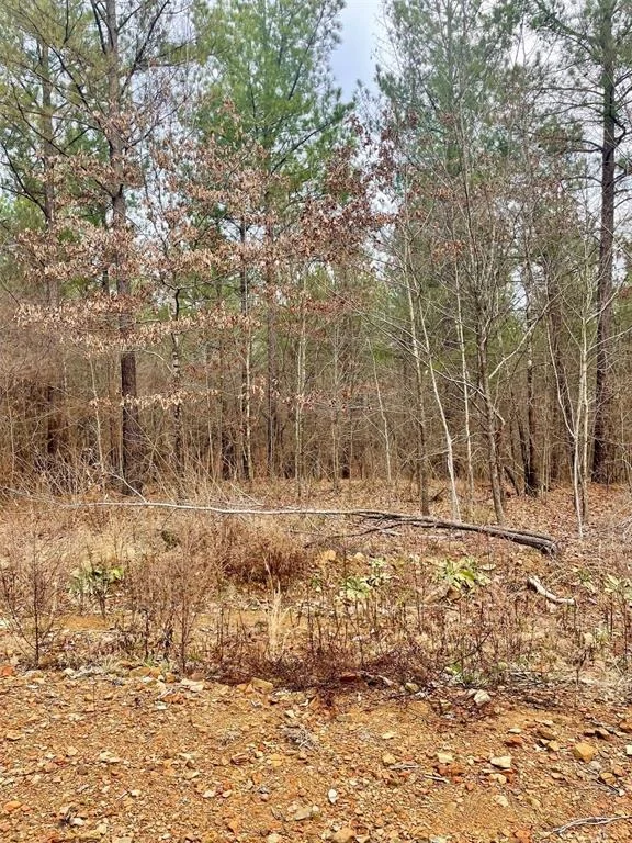 Photo of 755 Timber Creek Trails South XI