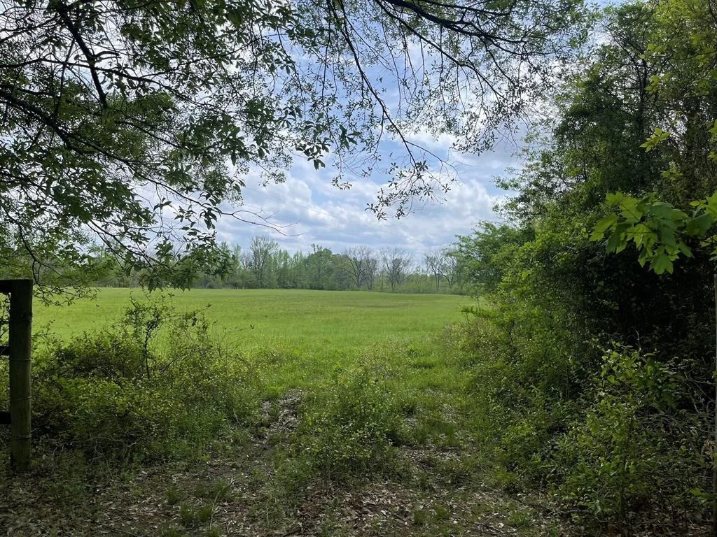 Photo of 260 Box Elder Lane
