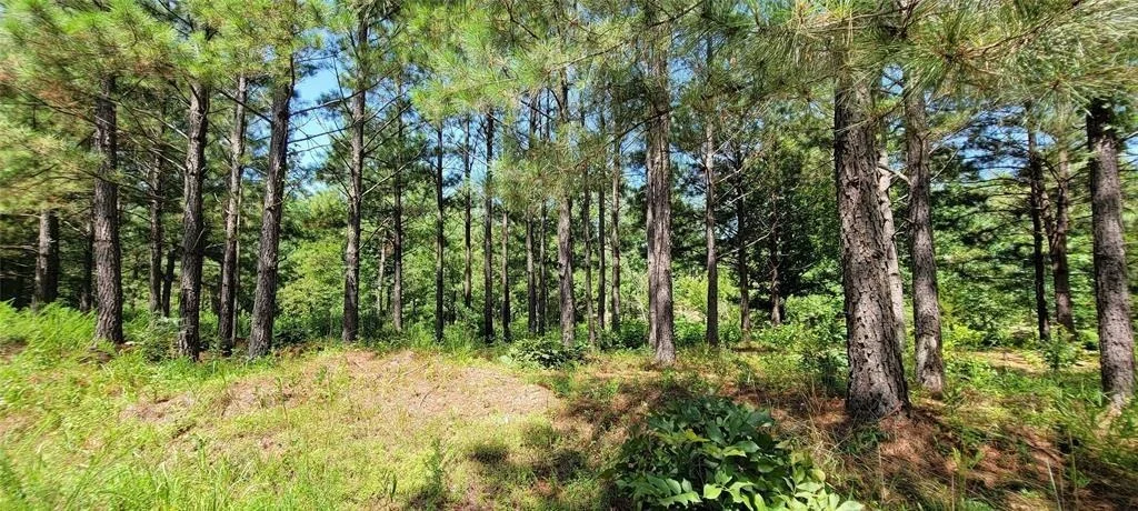 Photo of 74 Creek Side Trail