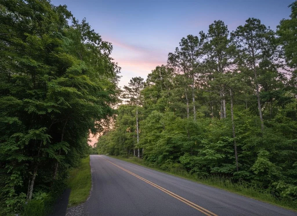 Photo of 13 Carson Creek Road