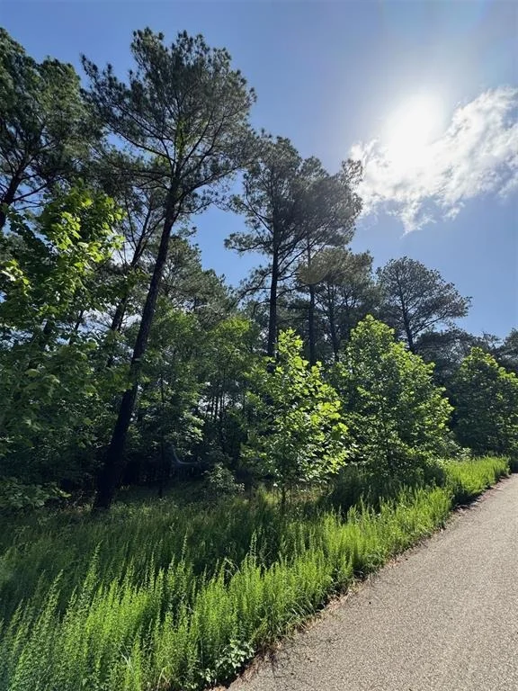 Photo of 49 Blue Maple Trail