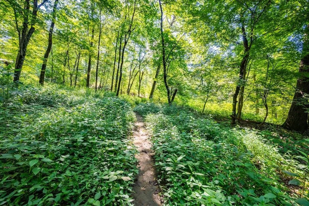 Photo of 637 High Peak Trail