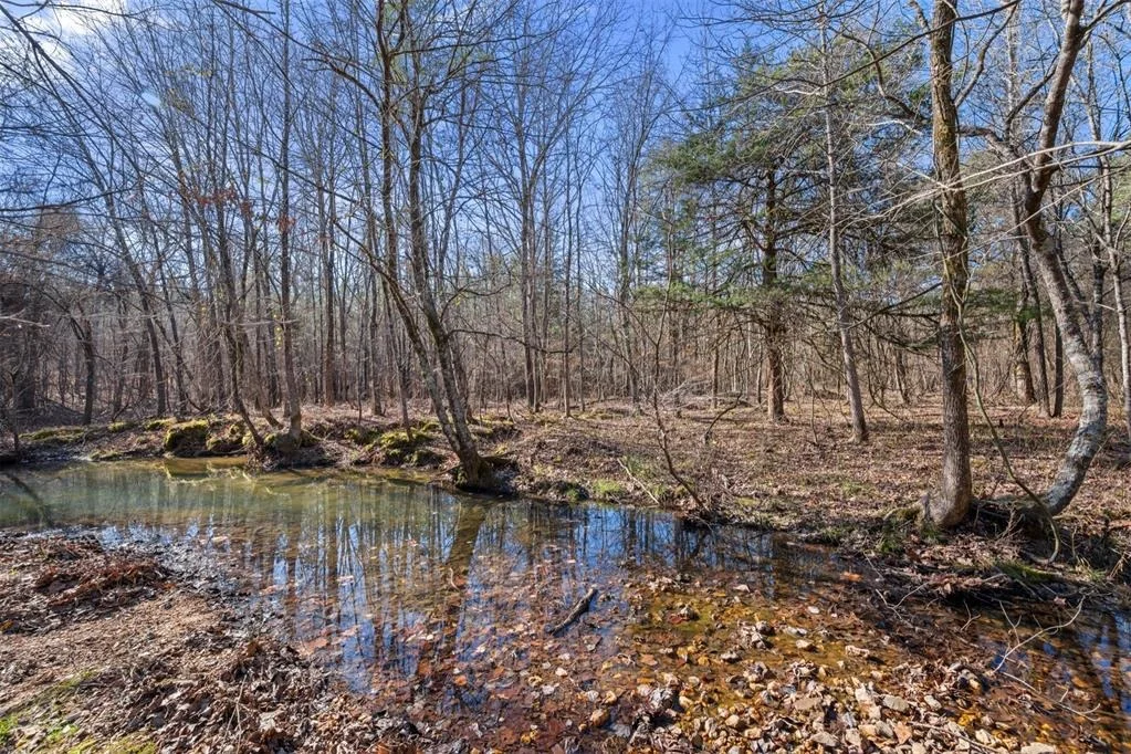 Photo of 315 Marked Pine Lane