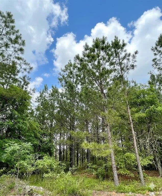 Photo of 671 Timber Creek Trails South XI