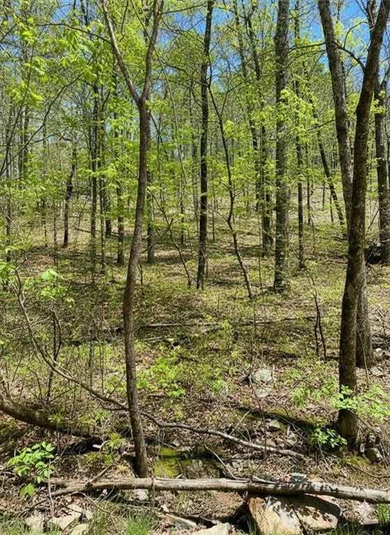 Photo of 158 WESTERN MAPLE Trail