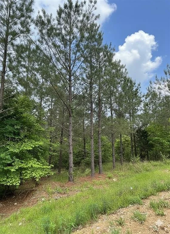 Photo of 663 Timber Creek Trails South XI