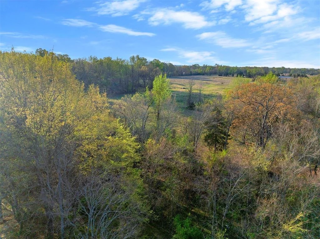 Photo of 2822 Womack Road