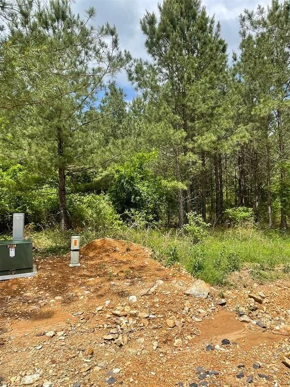 Photo of 697 Timber Creek Trails South XI