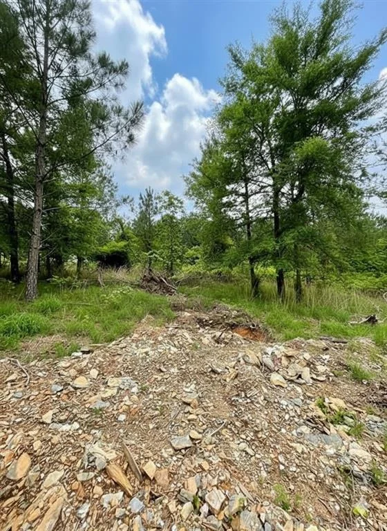 Photo of 669 Timber Creek Trails South XI