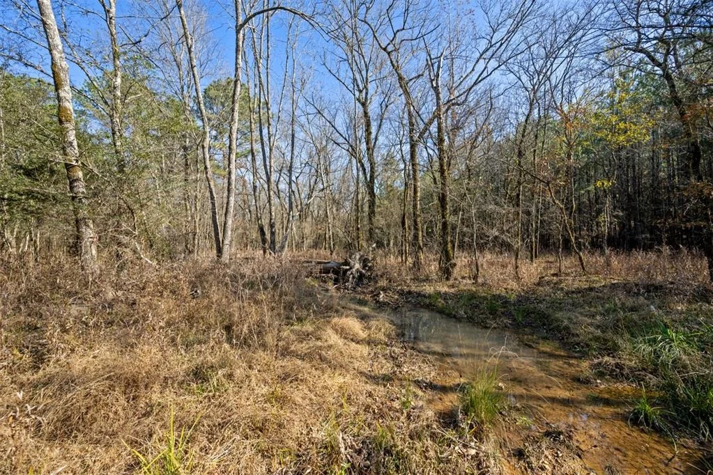 Photo of 323 Marked Pine Lane