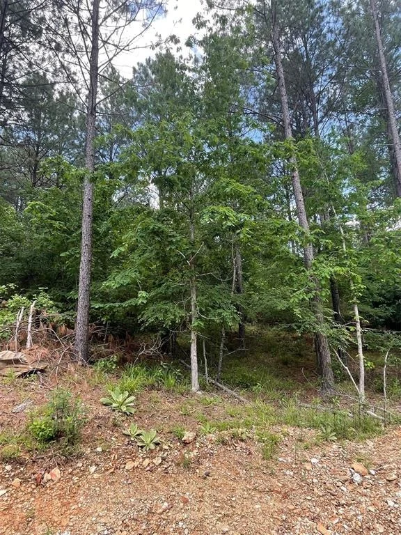Photo of 734 Timber Creek Trails South XI