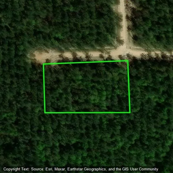 Photo of Unit LOT79 at 168 Cinnamon Teal Trail