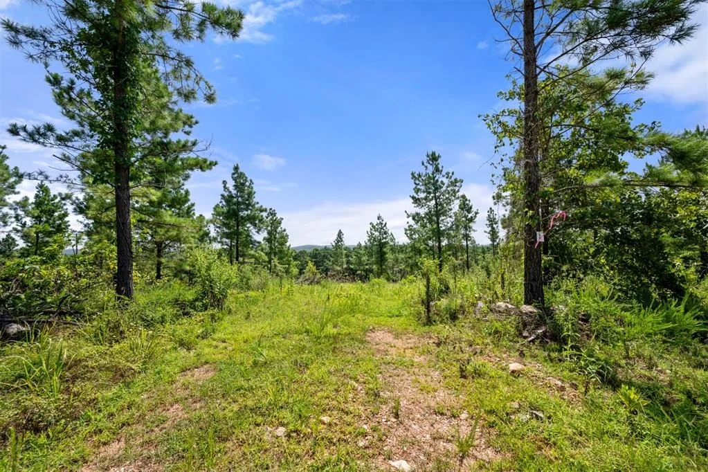 Photo of 1506 Paradise Valley Road