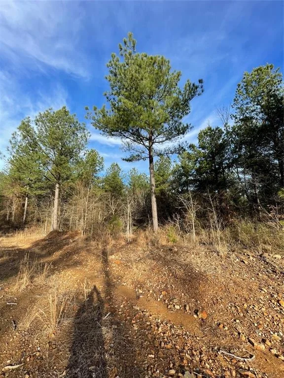 Photo of 699 Timber Creek Trails South XI