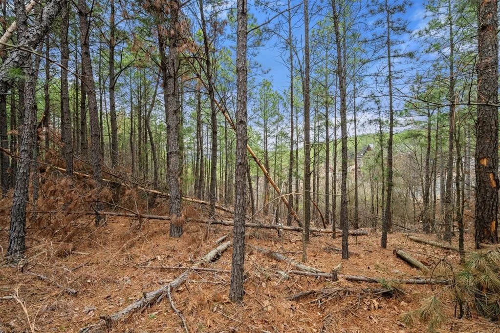 Photo of 905 Timberline Trail