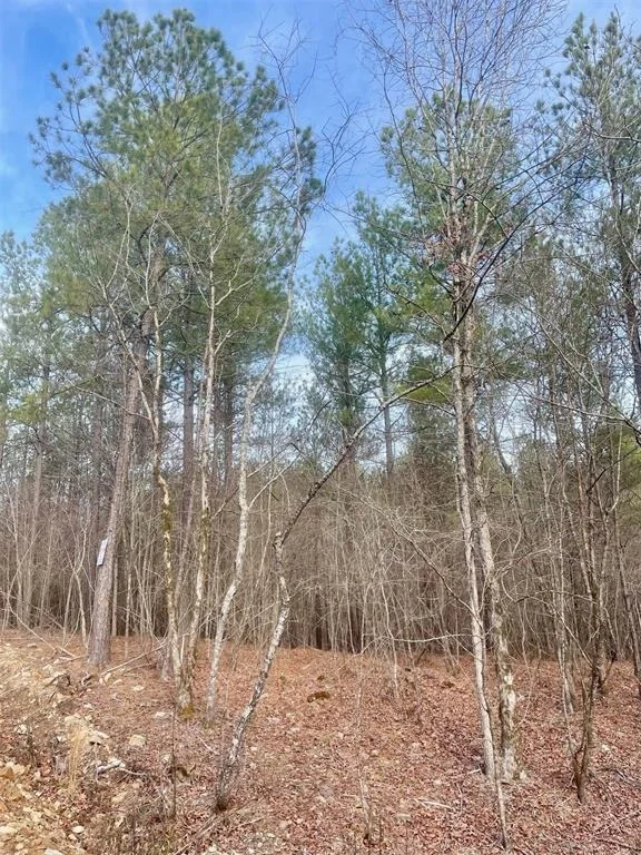 Photo of 727 Timber Creek Trails South XI