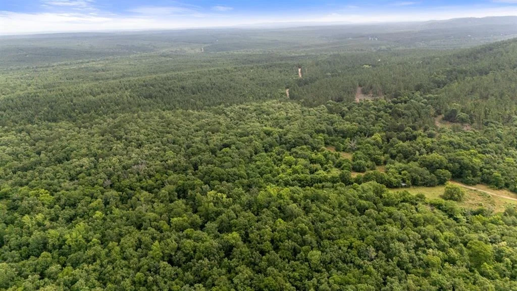 Photo of 219 Lost Hazel Trail