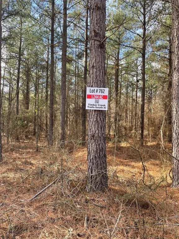 Photo of 762 Timber Creek Trails South XI