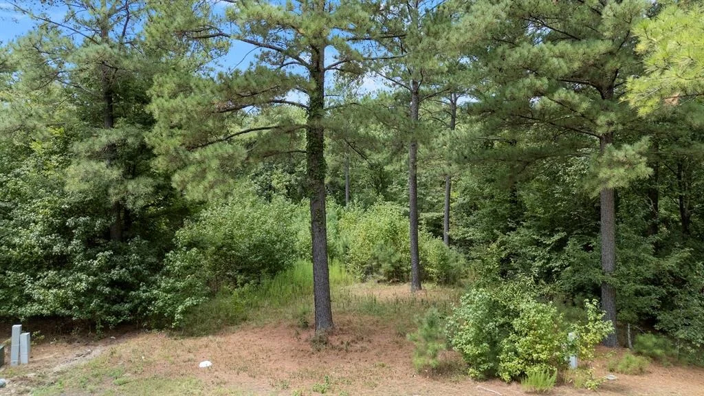 Photo of 179 Coffee Tree Trail