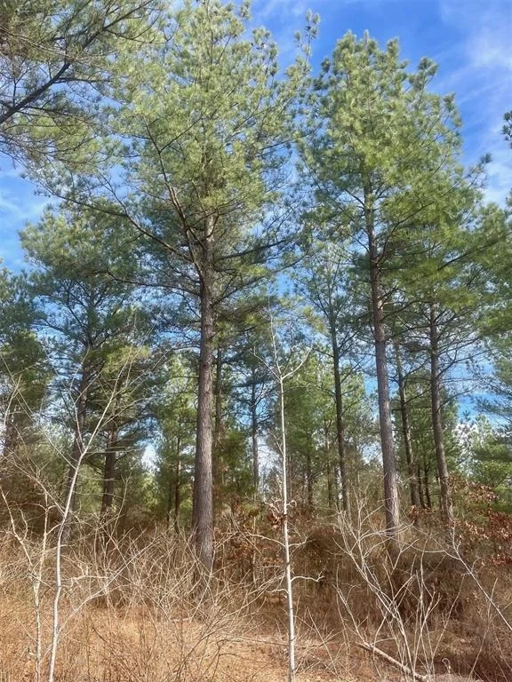 Photo of 730 Timber Creek Trails South XI