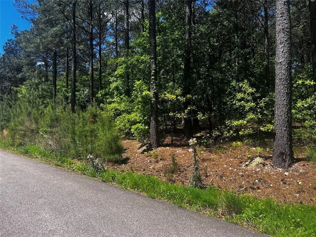 Photo of 83 Pleasant Cypress Trail