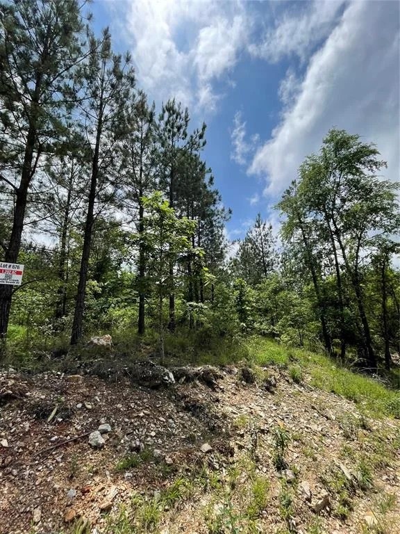Photo of 676 Timber Creek Trails South XI
