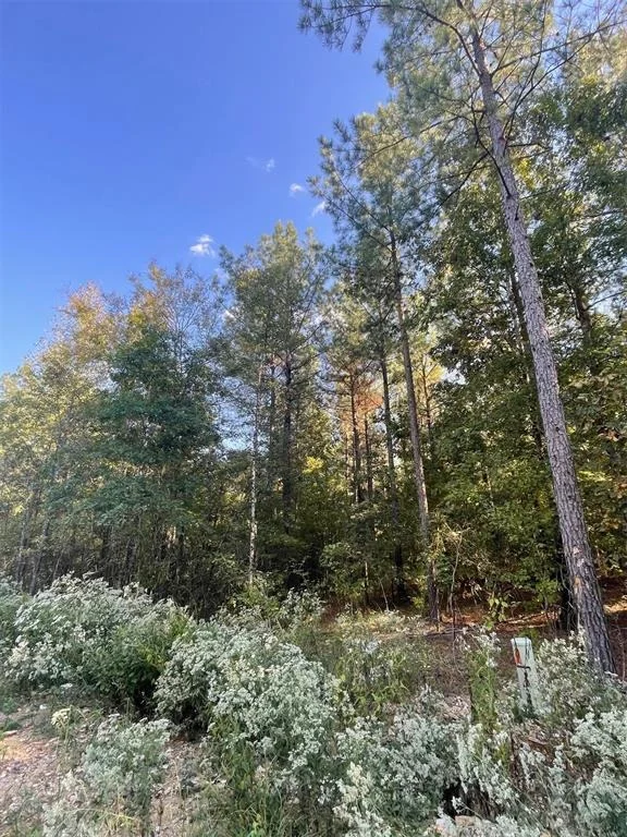Photo of 745 Timber Creek Trails South XI