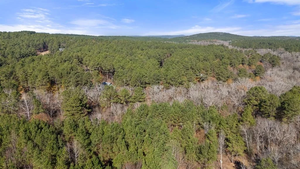 Photo of 323 Marked Pine Lane