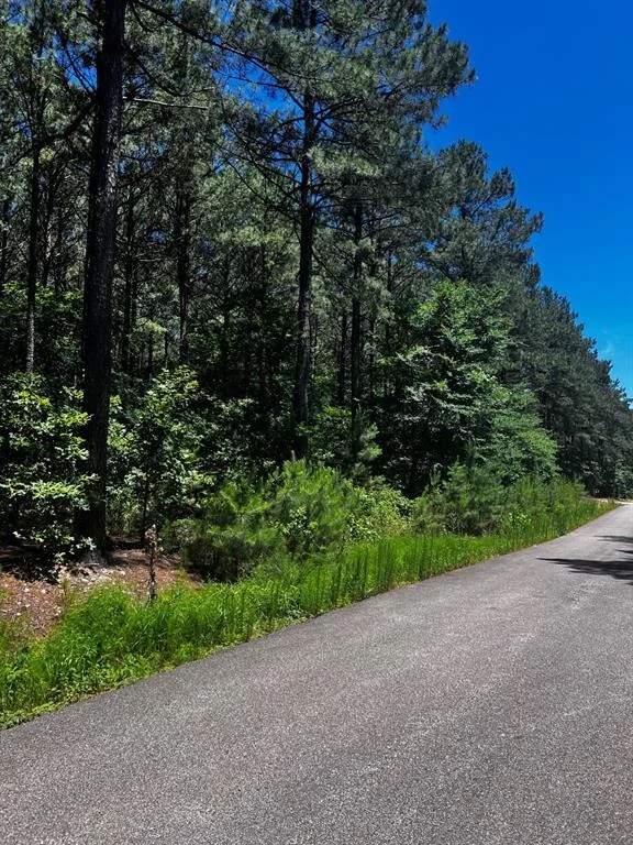 Photo of 83 Pleasant Cypress Trail
