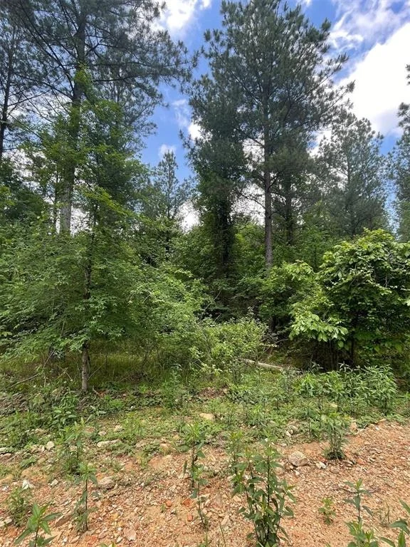 Photo of 702 Timber Creek Trails South XI