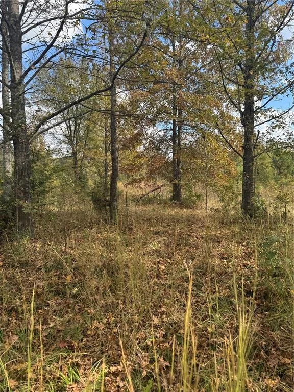 Photo of 315 Rosebud Road