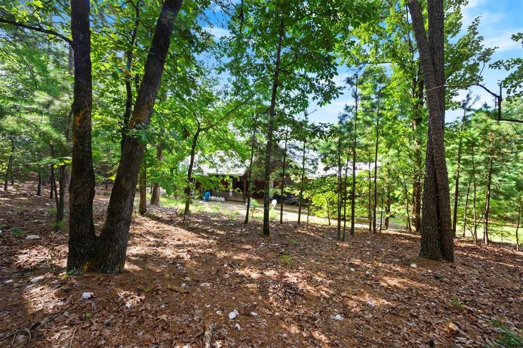 Photo of 315 Banjo Lane