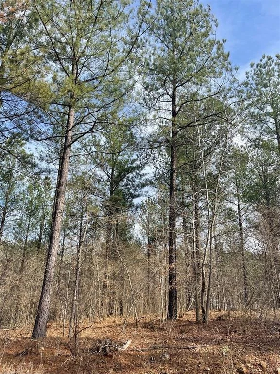 Photo of 752 Timber Creek Trails South XI