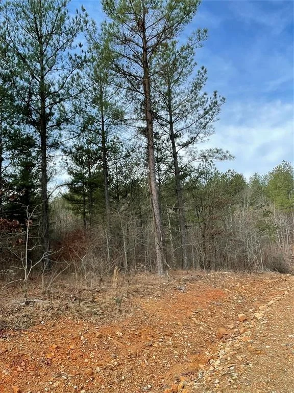 Photo of 721 Timber Creek Trails South XI