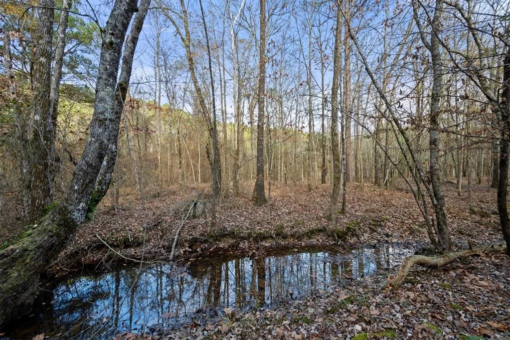 Photo of 315 Marked Pine Lane