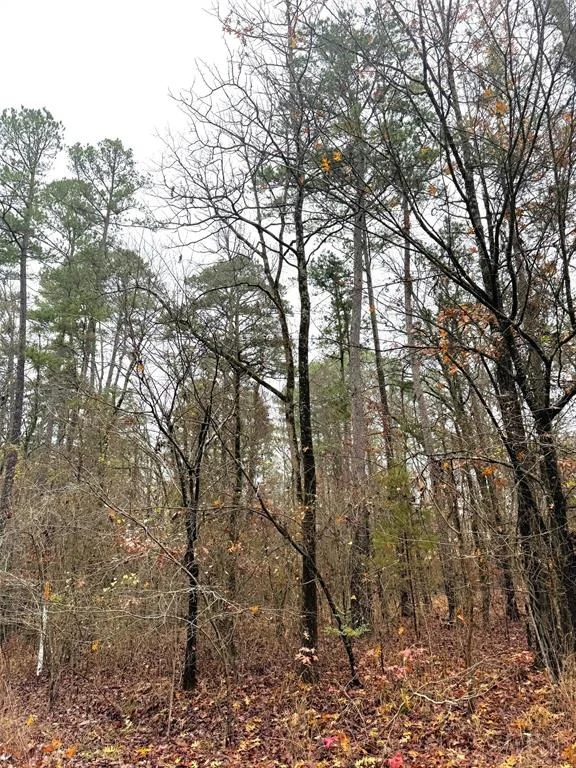 Photo of 209 Timber Creek Trail