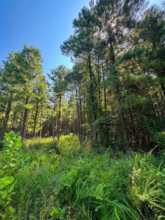 Photo of 470 Creek Side Trail