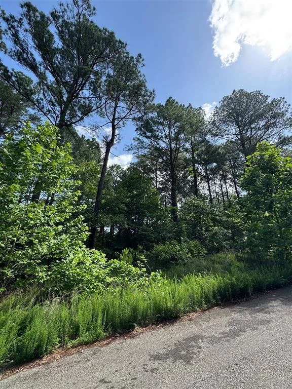 Photo of 87 Blue Maple Trail