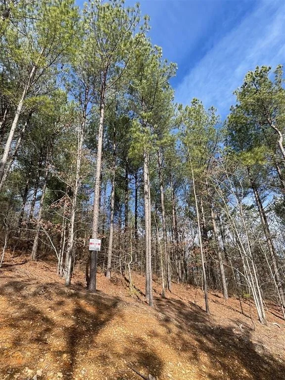 Photo of 775 Timber Creek Trails South XI