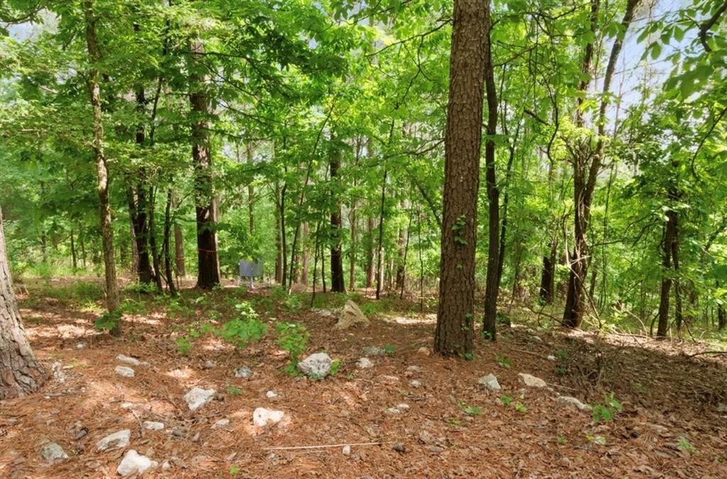 Photo of 224 PINE FOREST Trail