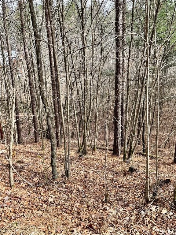Photo of 751 Timber Creek Trails South XI