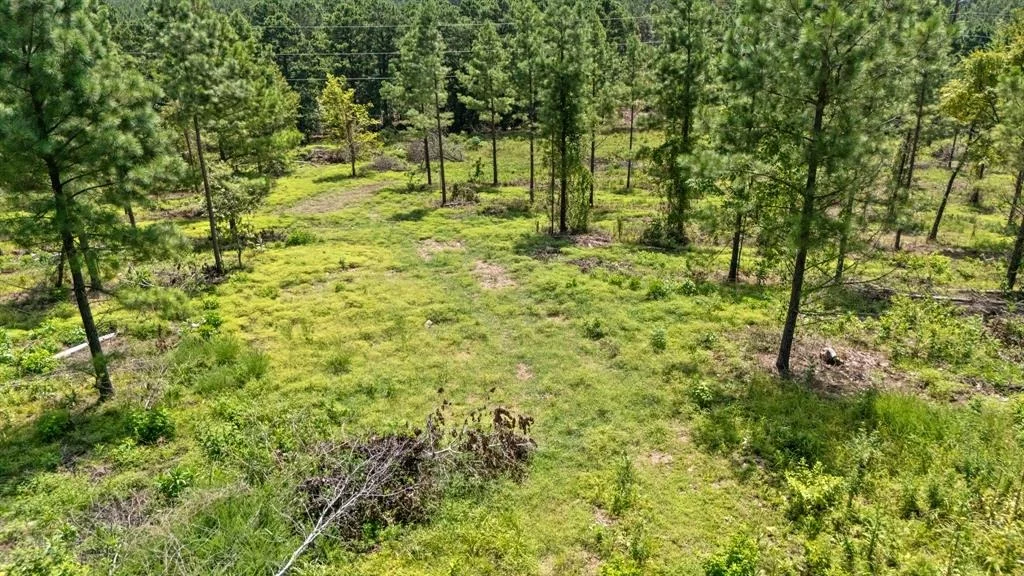 Photo of 1506 Paradise Valley Road