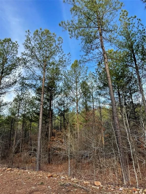 Photo of 703 Timber Creek Trails South XI