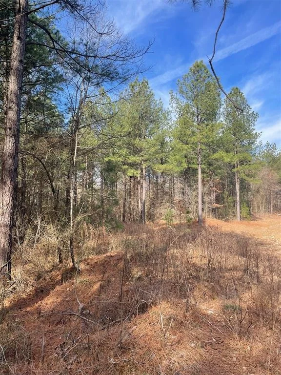 Photo of 762 Timber Creek Trails South XI