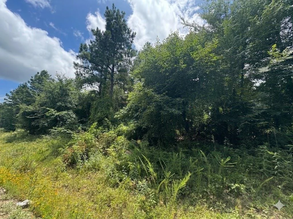 Photo of 18 Boulder Path