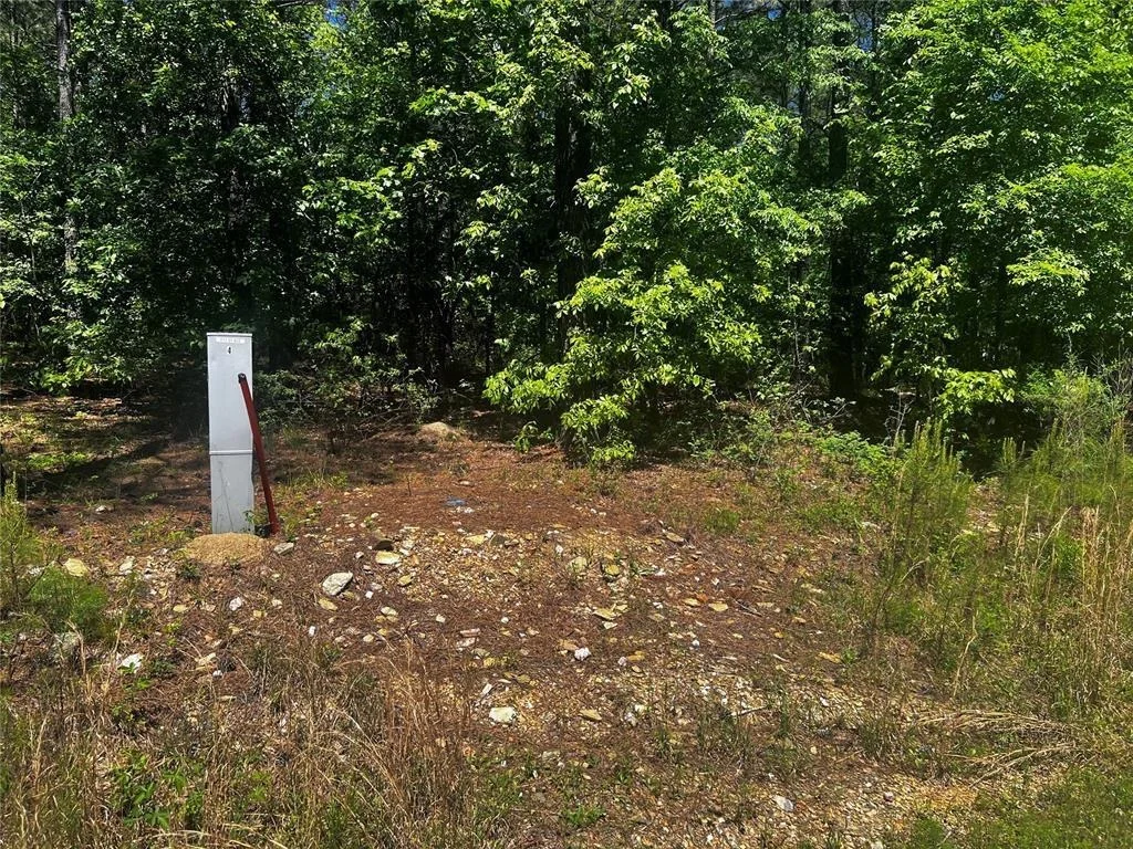 Photo of 83 Pleasant Cypress Trail