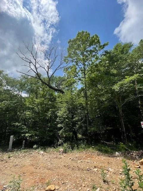 Photo of 706 Timber Creek Trails South XI