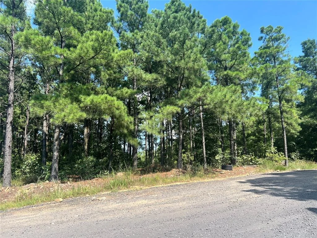 Photo of 24 Evergreen Vista Loop