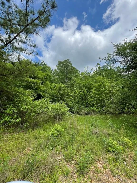 Photo of 695 Timber Creek Trails South XI